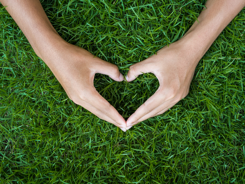 male hand in shape of heart on green grass field background